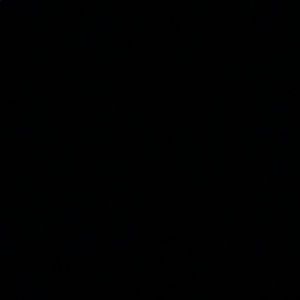 Meet your Posher, Lilly